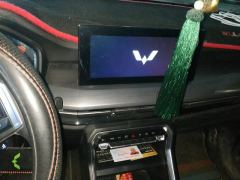 Wuling Xingchen 1.5T Manual Starlight Edition - photo 17