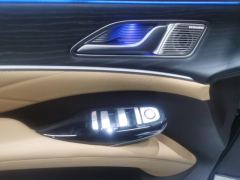 Denza D9 DM-i 1.5T 190km AWD Version 7 - ფოტო 13