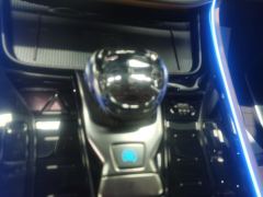Denza D9 DM-i 1.5T 190km AWD Version 7 - ფოტო 19