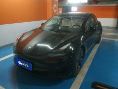 Tesla Model 3 556km Rear-Wheel Drive Edition - фото 1