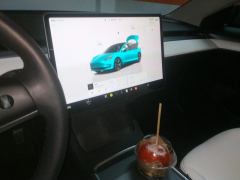 Tesla Model 3 556km Rear-Wheel Drive Edition - фото 17