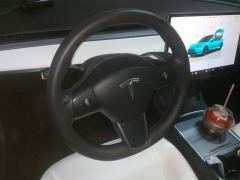 Tesla Model 3 556km Rear-Wheel Drive Edition - фото 18