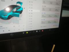 Tesla Model 3 556km Rear-Wheel Drive Edition - фото 20