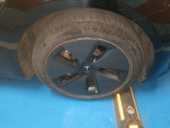 Tesla Model 3 556km Rear-Wheel Drive Edition - фото 6