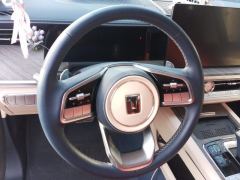 Tank 500 3.0T Edition 5 - photo 18