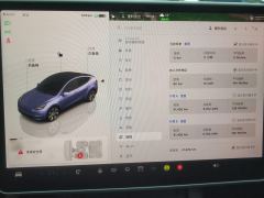 Tesla Model Y Facelift 545km Rear-Wheel Drive Edition - фото 20