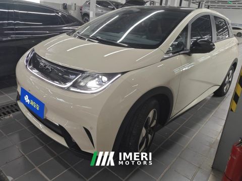 2025 BYD Dolphin 420km Stylish Edition - автомобиль из Китая