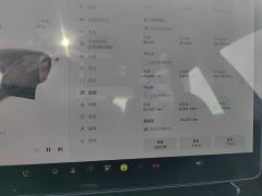 Tesla Model 3 Standard Range Edition - ფოტო 14