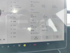 Tesla Model 3 Standard Range Edition - ფოტო 15