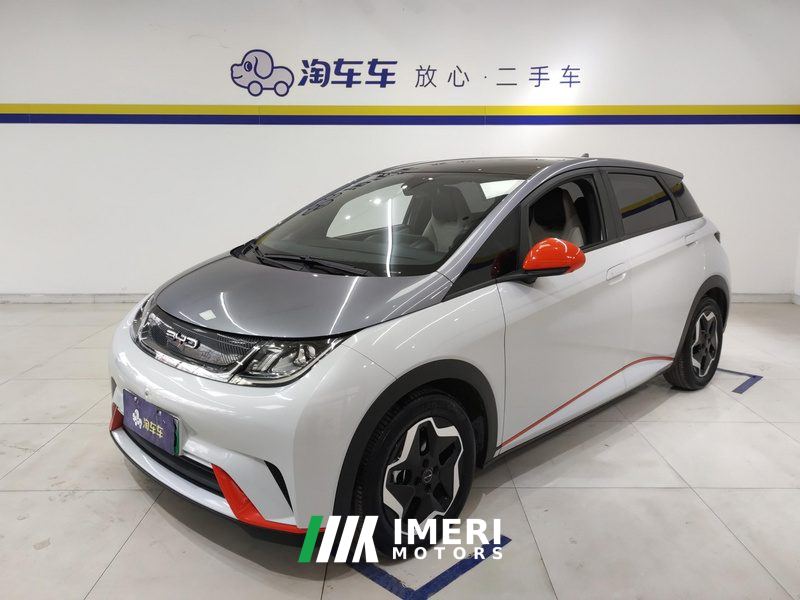 BYD Dolphin 405km Stylish Edition - ავტომობილი ჩინეთიდან