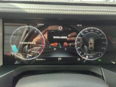 Tank 300 Off-Road Edition 2.0T Conqueror - ფოტო 20