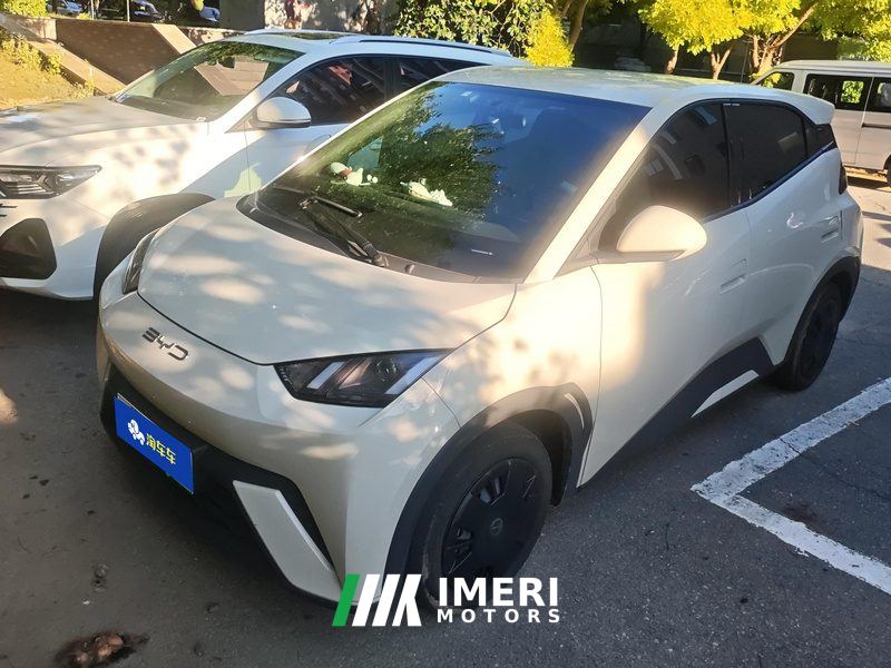 BYD Seagull 305km Vitality Edition