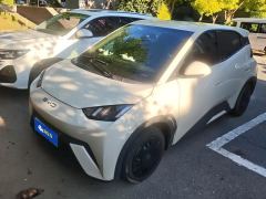 BYD Seagull 305km Vitality Edition - ფოტო 1