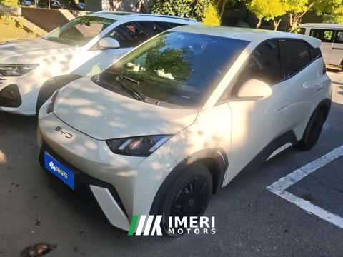 2023 BYD Seagull 305km Vitality Edition - car from China