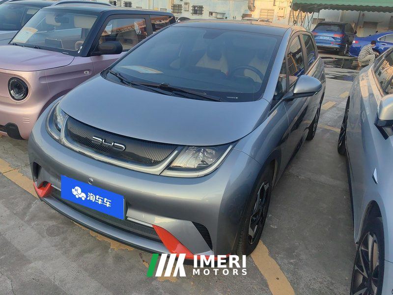 BYD Dolphin 405km Stylish Edition - car from China