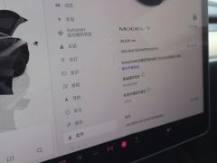 Tesla Model Y 545km Rear-Wheel Drive Edition - ფოტო 20