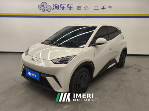 2025 BYD Seagull 305km Vitality Edition - car from China