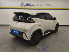 BYD Seagull 305km Vitality Edition - ფოტო 2