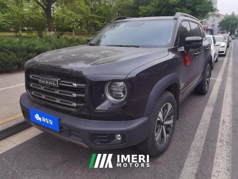 Haval Great Wall Big Dog Great Wall Dog 1.5T Two-wheel drive Labrador version - ავტომობილი ჩინეთიდან
