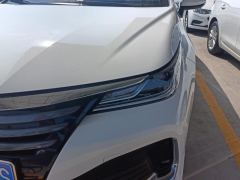 Toyota Asian Lion 2.0L Edition - ფოტო 4