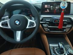 BMW 5 Series (Imported) Facelift 530i Elegance M Sport Package - photo 19