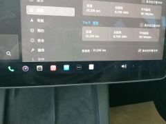 Tesla Model 3 556km Rear-Wheel Drive Edition - photo 20