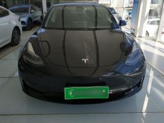 Tesla Model 3 556km Rear-Wheel Drive Edition - photo 3