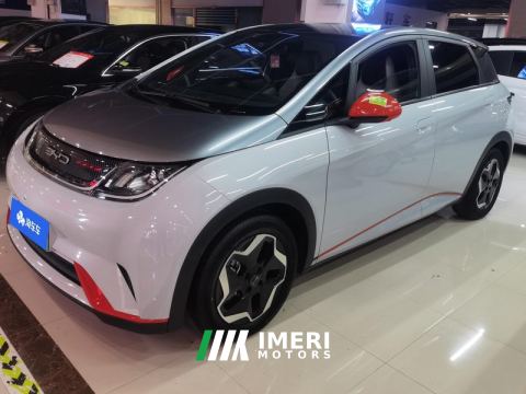 2021 BYD Dolphin 405km Stylish Edition - ავტომობილი ჩინეთიდან