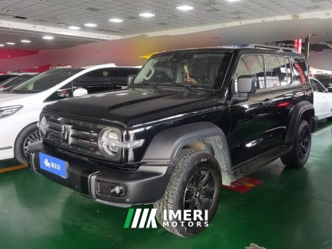 2024 Tank 300 2.0T Conqueror - ავტომობილი ჩინეთიდან
