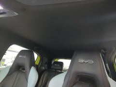 BYD Seagull 305km Vitality Edition - ფოტო 15