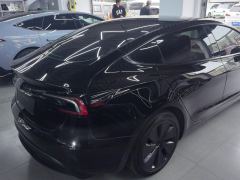 Tesla Model 3 606km Rear-Wheel Drive Edition - фото 2