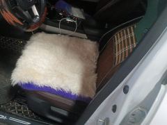 BYD Qin PLUS DM-i 120km Prestigious Edition - ფოტო 14