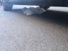 Honda ZR-V Dear, ZR-V Dear 1.5T Exclusive Edition - ფოტო 11