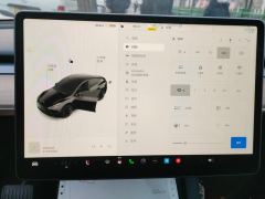 Tesla Model Y 545km Rear-Wheel Drive Edition - фото 14