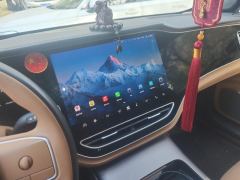 Roewe Feifan F7 602km Pro Edition - photo 17