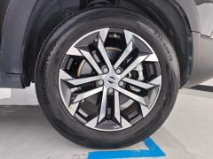 Haval Great Wall Big Dog Great Wall Dog 1.5T 2WD Edge Pastoral Edition - фото 6