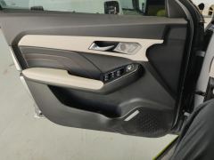 Haval Chitu Jiqing Edition 1.5T Golden Rabbit - ფოტო 12