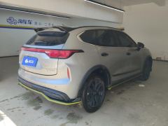Haval Chitu Jiqing Edition 1.5T Golden Rabbit - ფოტო 2