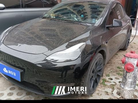2021 Tesla Model Y Standard endurance rear-wheel drive - ავტომობილი ჩინეთიდან