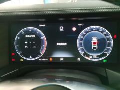 Tank 300 Off-Road Edition 2.0T Conqueror - photo 20