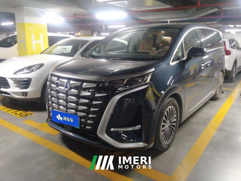 Denza D9 DM-i 1.5T 180km AWD Version 7 - car from China
