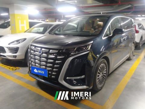 2022 Denza D9 DM-i 1.5T 180km AWD Version 7 - car from China