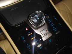 Denza D9 DM-i 1.5T 180km AWD Version 7 - photo 19