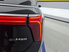Hongqi E-HS9 690km Qixiang Edition 6-seater - ფოტო 5
