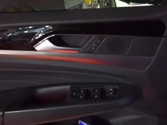 Volkswagen Passat 330TSI Star Elite Edition - ფოტო 13