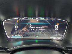 BYD Song PLUS EV Prestigious Edition - ფოტო 20