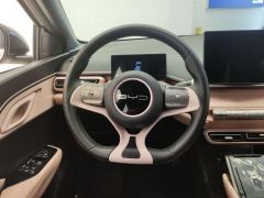 BYD Seagull 305km Free Version - ფოტო 18