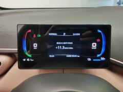 BYD Seagull 305km Free Version - ფოტო 20