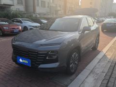 Jetour Dasheng 1.6T PRO - photo 1