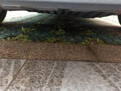 BYD Qin 450km Mobility Edition - photo 8